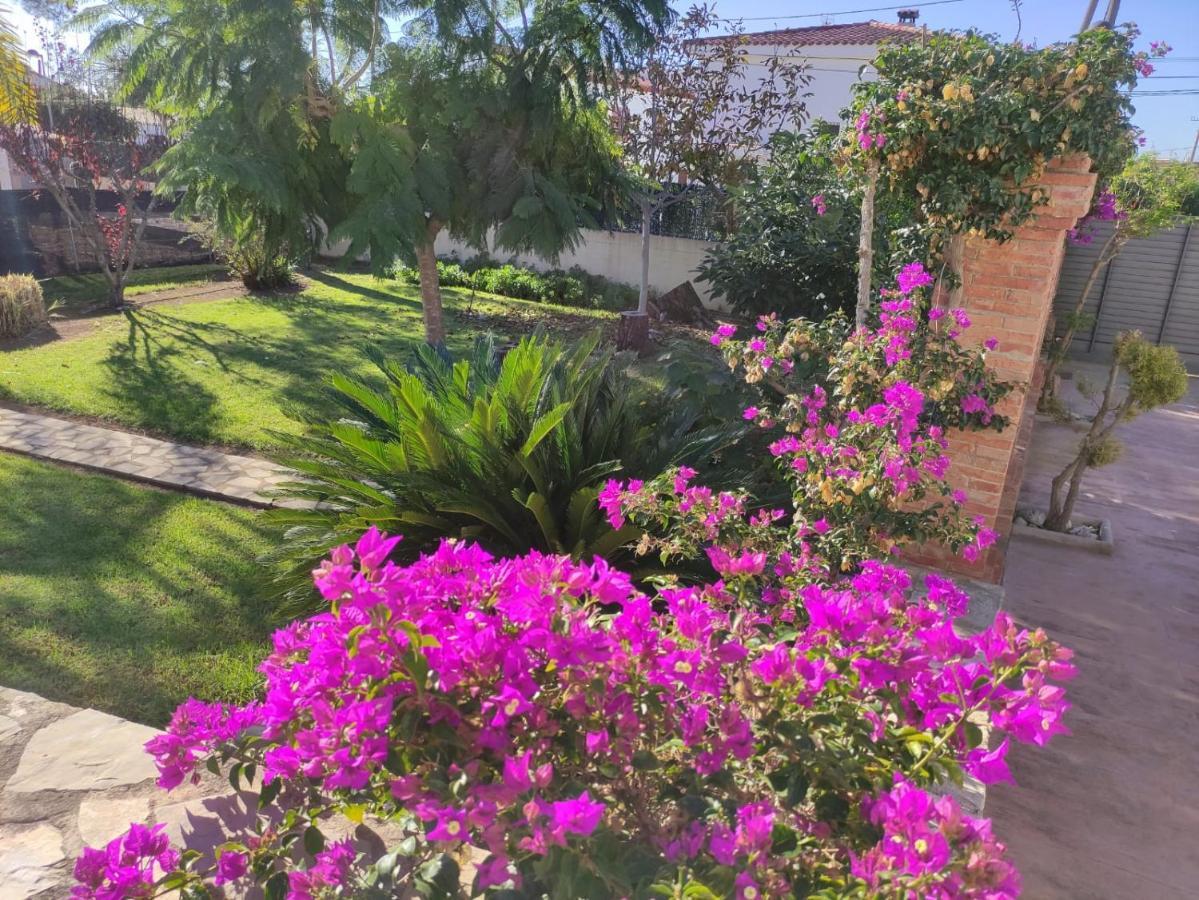 Villa Parets De Sucre เลสกาเซส ดัลกานาร์ ภายนอก รูปภาพ